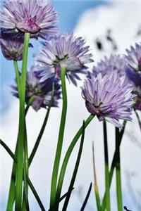 Chives Growing in the Garden Journal