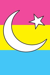 Muslim Star & Crescent Pansexual Pride Flag - Lined Notebook