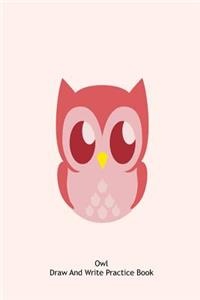 Owl Draw And Write Practice Book