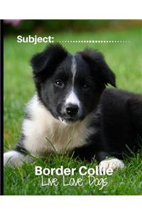 Border Collie - Live Love Dogs!