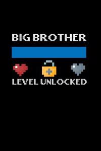 Big Brother Level Unlocked