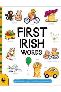 First Irish Words