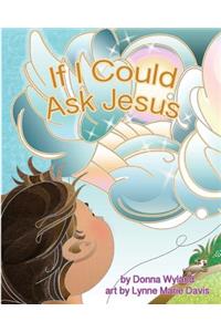 If I Could Ask Jesus