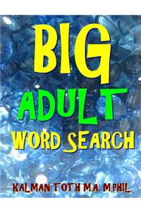 Big Adult Word Search
