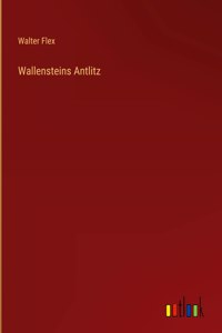 Wallensteins Antlitz