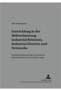 Entwicklung in Der Mitbestimmung - Industrial Relations, Industrial Districts Und Netzwerke