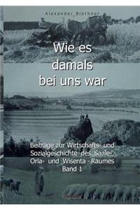 Wie es damals bei uns war. Eine Geschichte der Landwirtschaft und des Dorflebens, der Sitten und Gebräuche, der Bauernhöfe und der Rittergüter im Land zwischen Saale und Orla