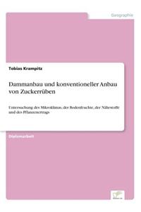 Dammanbau und konventioneller Anbau von Zuckerrüben