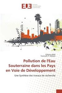 Pollution de l'Eau Souterraine Dans Les Pays En Voie de Développement