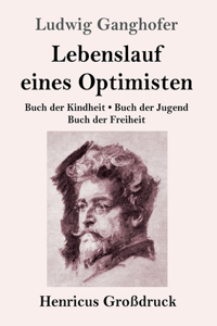 Lebenslauf eines Optimisten (Großdruck)