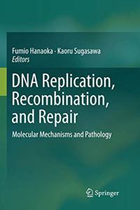 DNA Replication, Recombination, and Repair