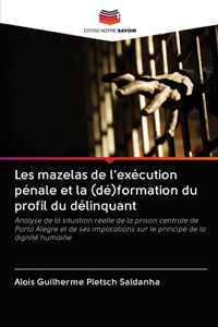 Les mazelas de l'exécution pénale et la (dé)formation du profil du délinquant