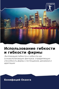 Использование гибкости и гибкости фирмы
