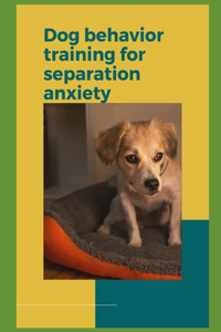 Dog behavior training for separation anxiety