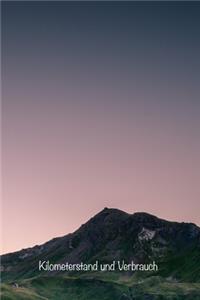 Kilometerstand und Verbrauch