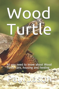 Wood Turtle