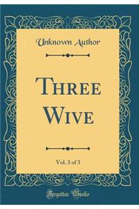 Three Wive, Vol. 3 of 3 (Classic Reprint)