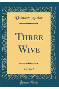 Three Wive, Vol. 3 of 3 (Classic Reprint)