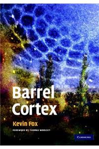 Barrel Cortex