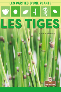 Les Tiges (Stems)