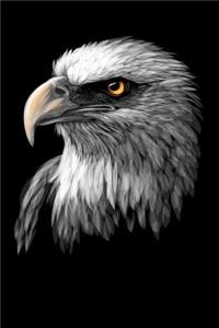 Bald Eagle Notebook