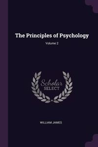 The Principles of Psychology; Volume 2