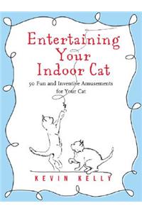 Entertaining Your Indoor Cat