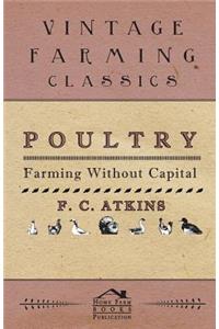 Poultry Farming Without Capital
