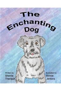 Enchanting Dog