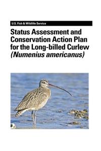 Status Assessment and Conservation Action Plan for the Long-billed Curlew (Numenius americanus)
