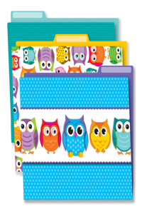Colorful Owls File Folders