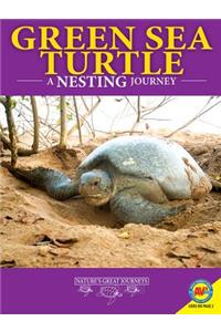 Green Sea Turtles: A Nesting Journey