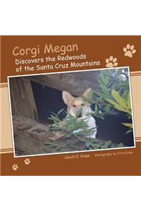 Corgi Megan Discovers the Redwoods of the Santa Cruz Mountains