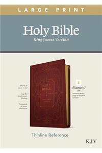 KJV Large Print Thinline Reference Bible, Filament Enabled Edition (Red Letter, Leatherlike, Burgundy)