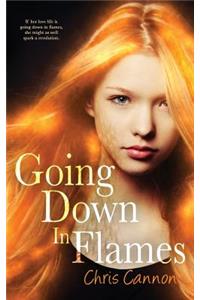 Going Down in Flames (a Going Down in Flames Novel)