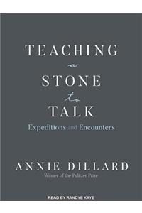 Teaching a Stone to Talk