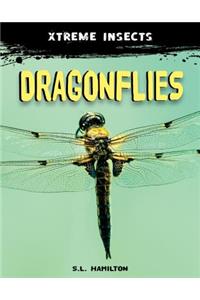 Dragonflies