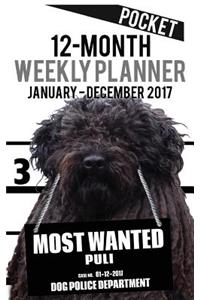 2017 Pocket Weekly Planner - Most Wanted Puli