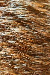 Journal Chocolate Labrador Retriever Fur