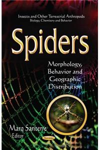 Spiders