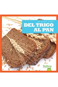 del Trigo Al Pan (from Wheat to Bread)