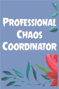 Professional Chaos Coordinator