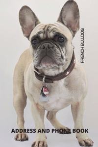 Address and Phone Book