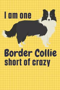 I am one Border Collie short of crazy