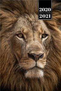 Lion Week Planner Weekly Organizer Calendar 2020 / 2021 - Clear Eyes