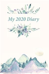 My 2020 Diary