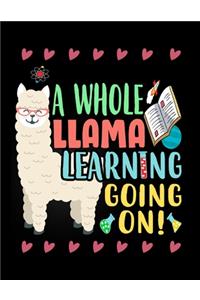 Llama Academic Planner 2019-2020
