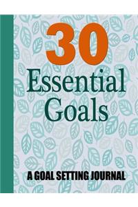 30 Essential Goals