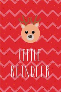 Little Reindeer