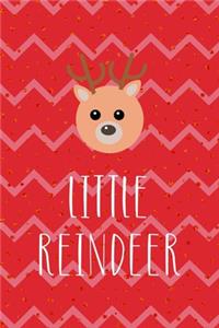 Little Reindeer